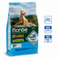 Dog Food - Grain-Free Mini Adult Anchovies with Potatoes and Peas - 15 kg