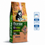 Pienso para perros - Adulto sin cereales Salmón con Patatas y Guisantes - 15 kg