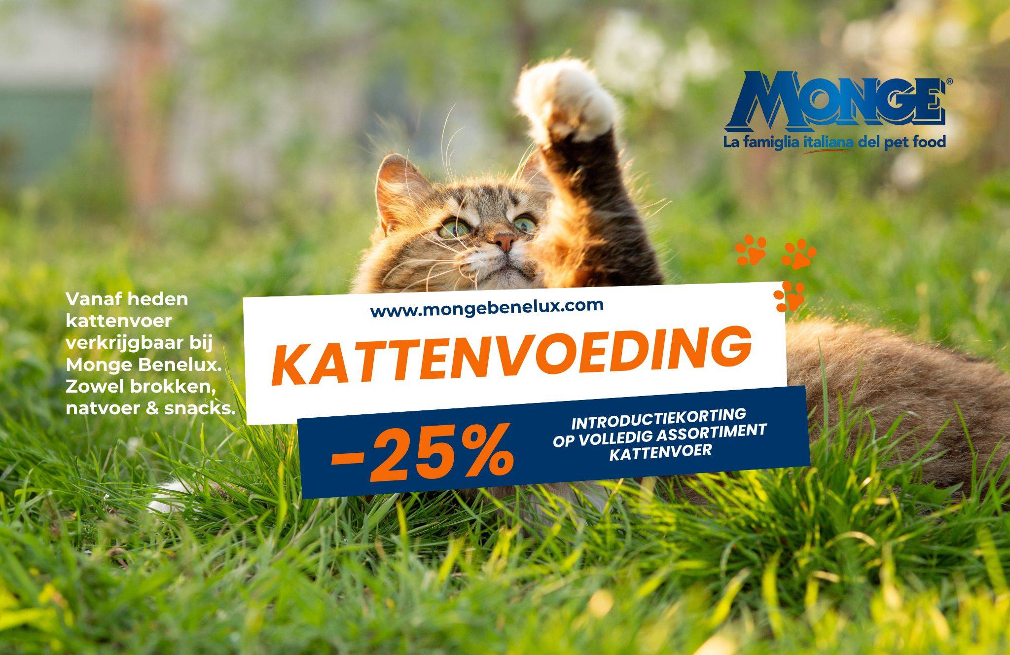 Kattenvoer