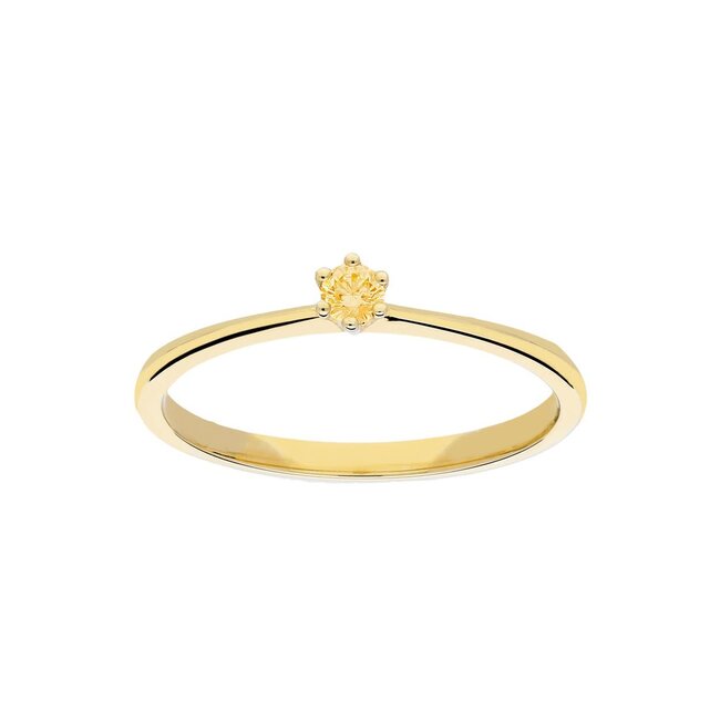 Jackie 14k gouden ring dames jackie jkr20007