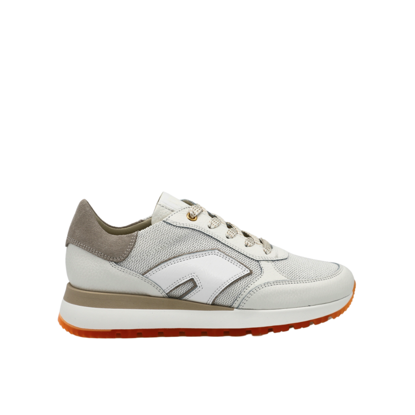 DL Sport 2501246