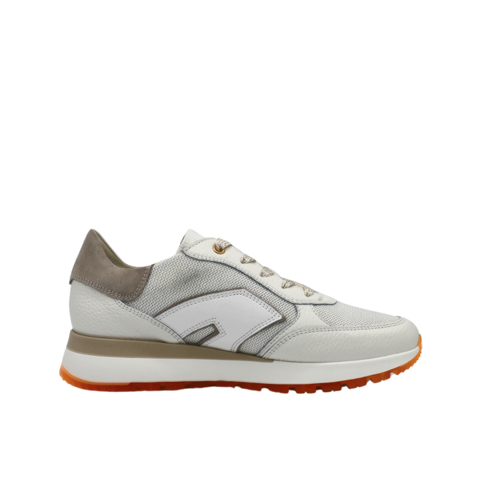 DL Sport 2501246