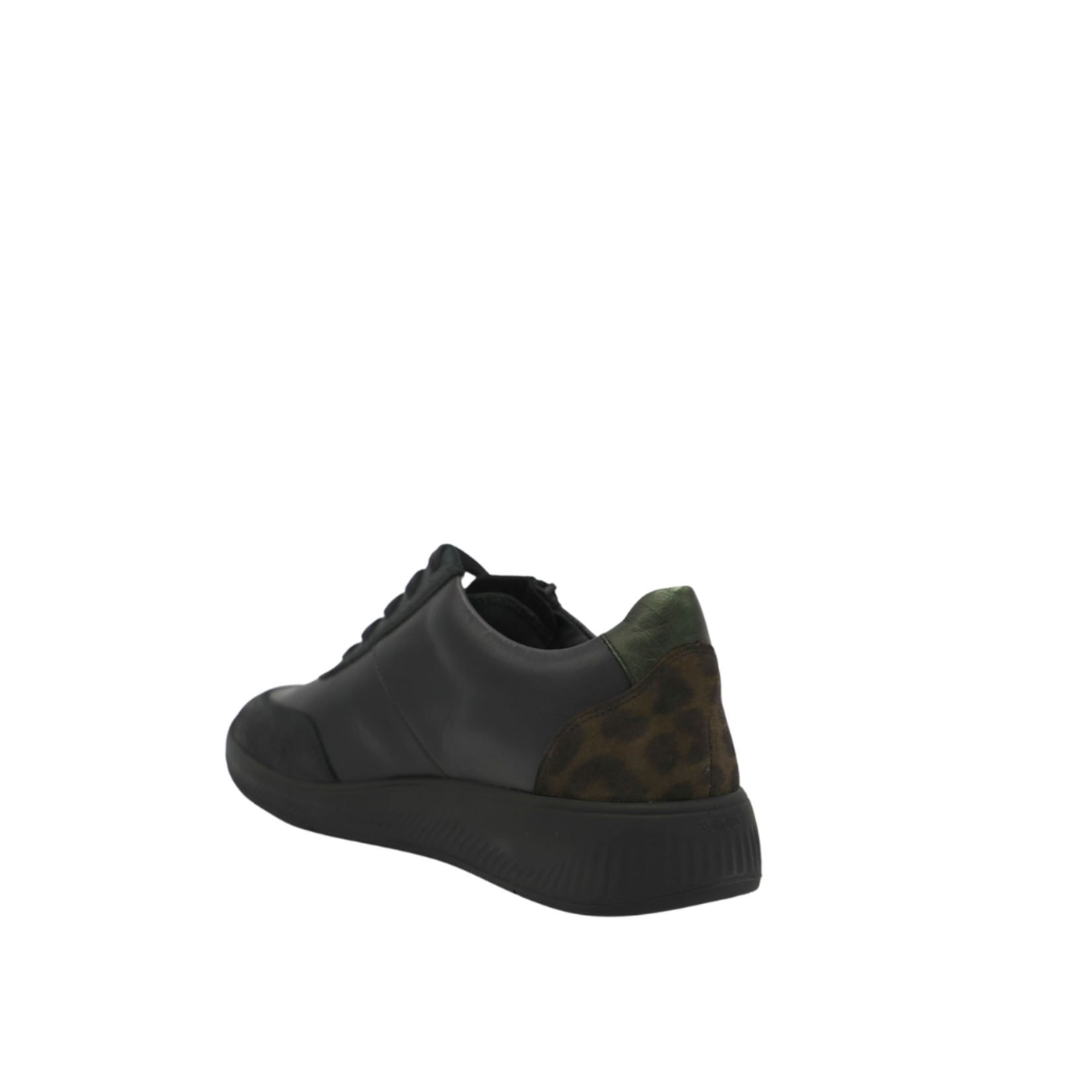 Solidus 140724-7