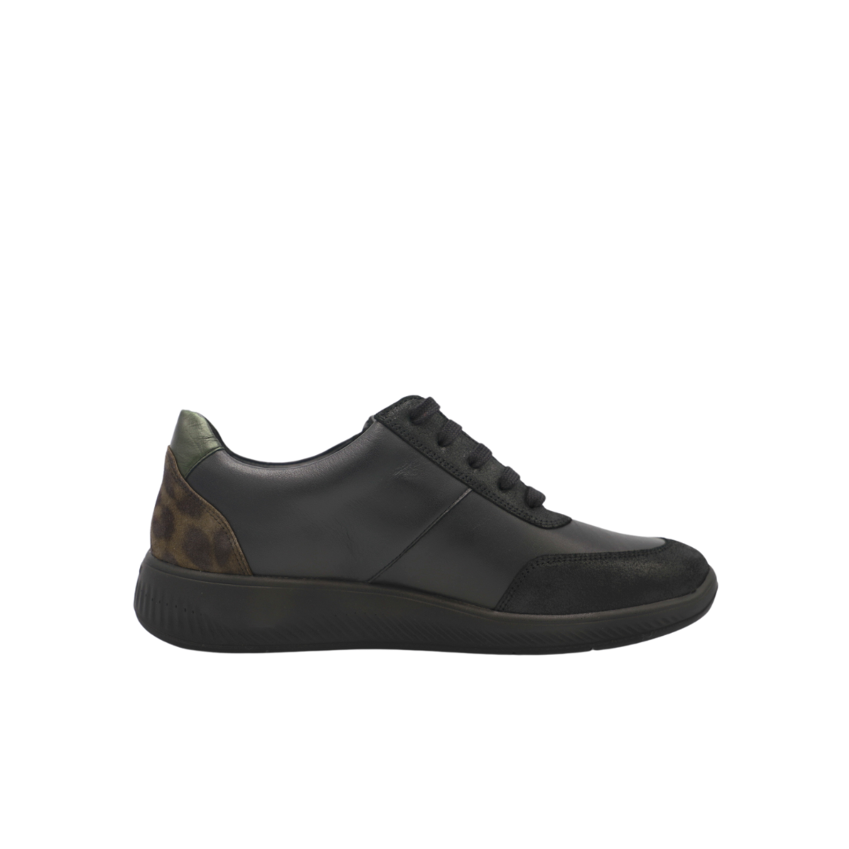 Solidus 140724-7