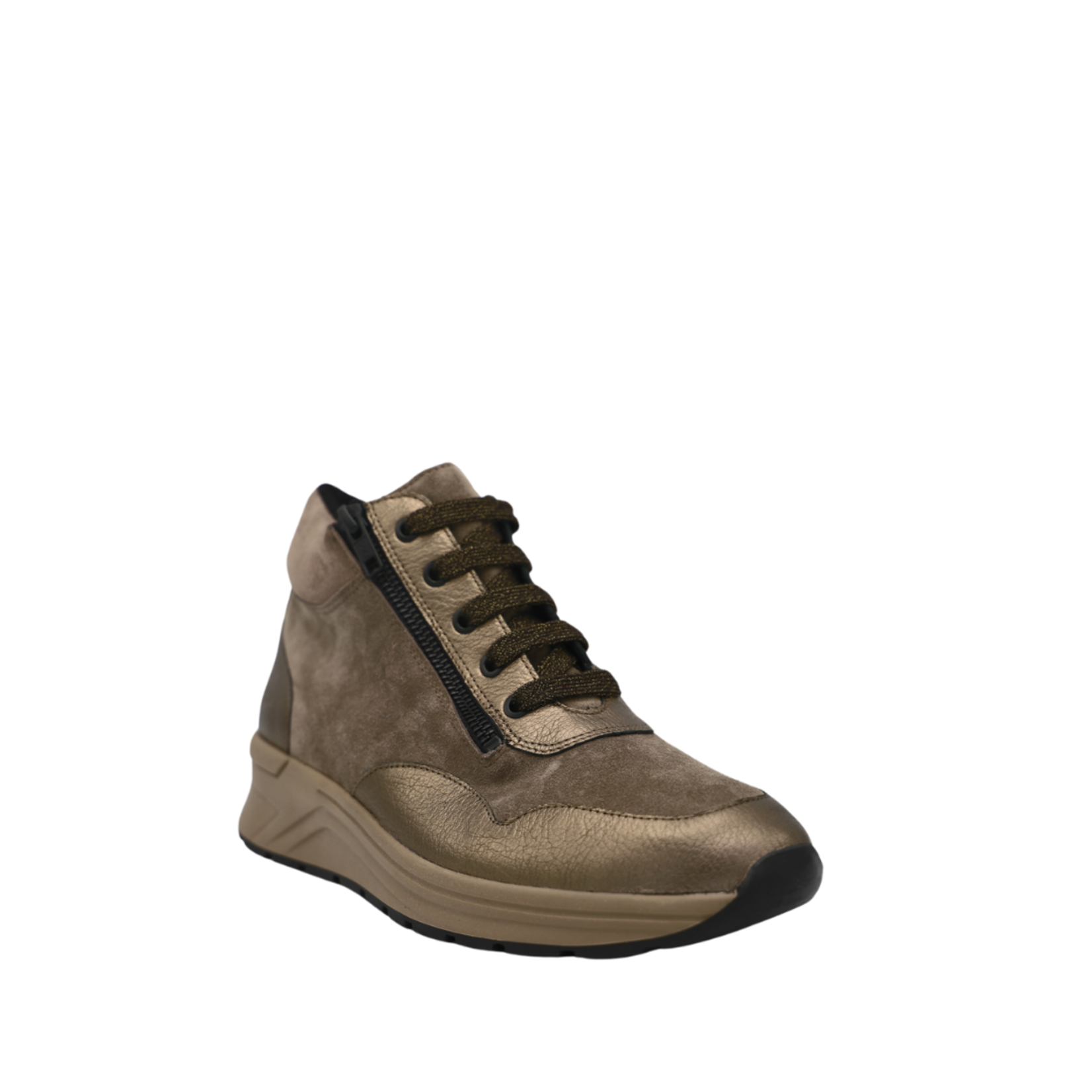 Solidus 140724-13