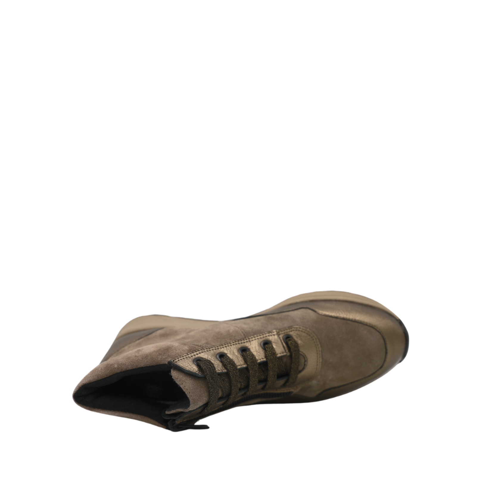 Solidus 140724-13