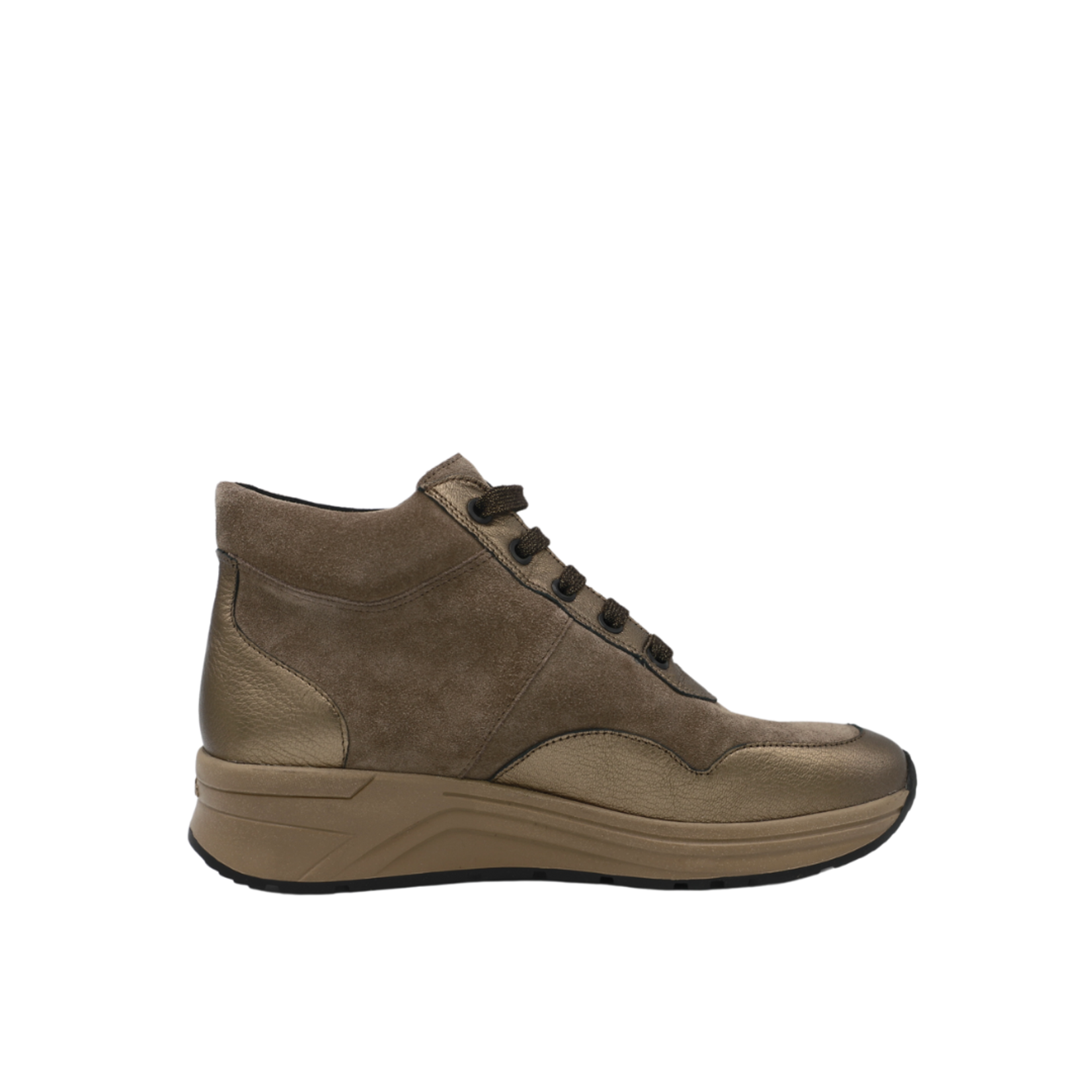 Solidus 140724-13