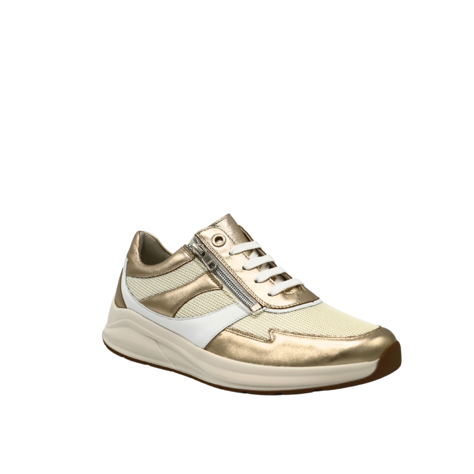Solidus 1401254