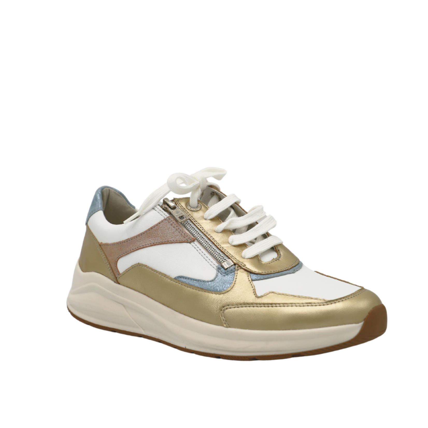 Solidus 1401253