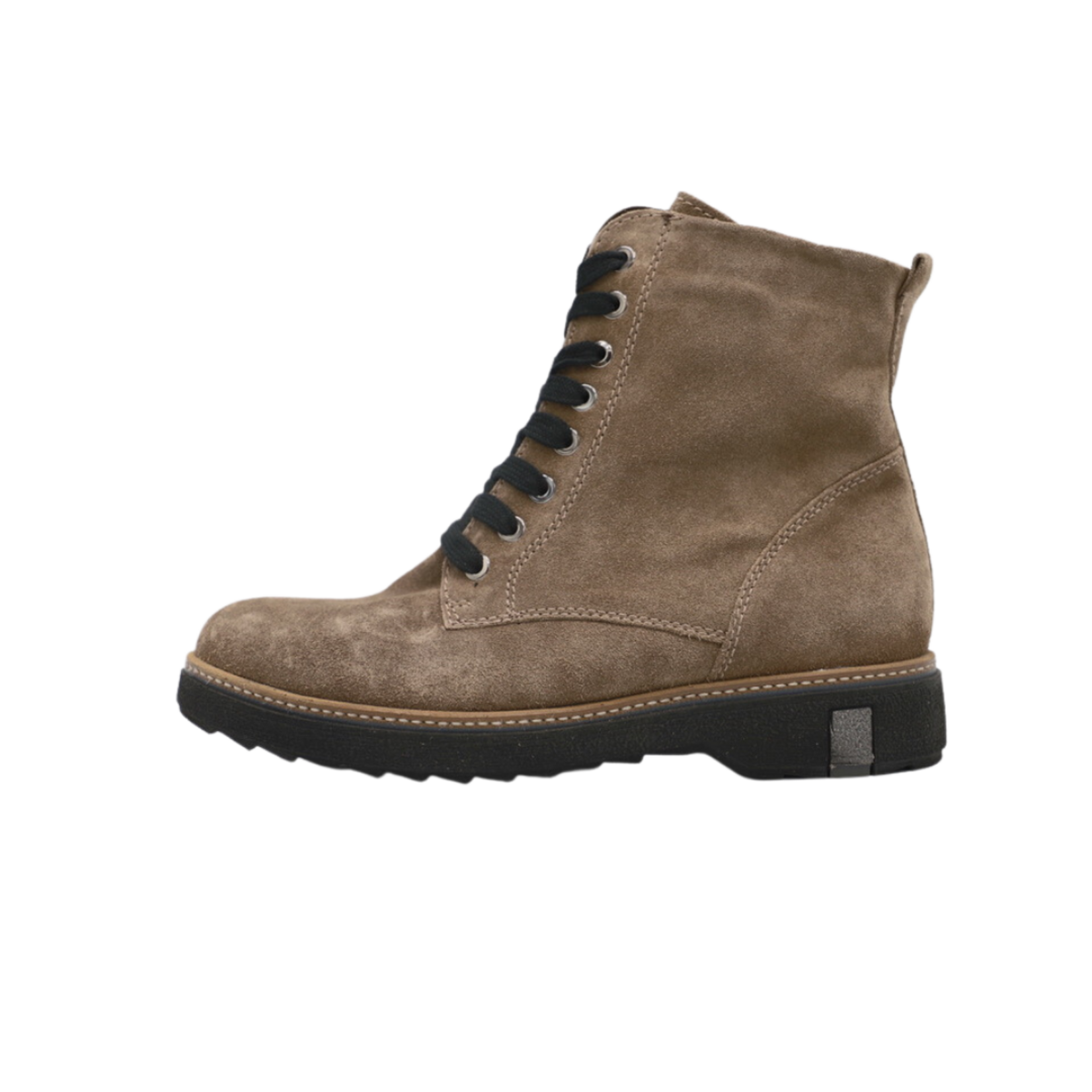 Waldläufer Waldläufer