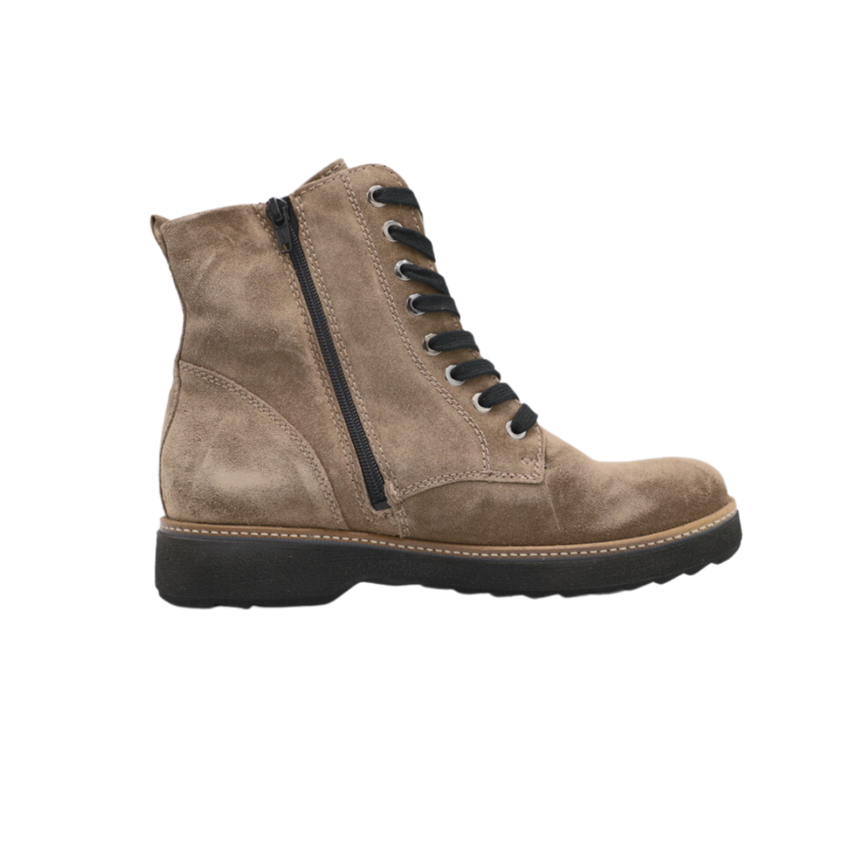 Waldläufer Waldläufer