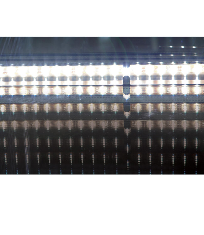 Diamond Flessenkoeler 2 deuren, 375 liters