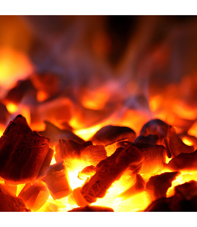 Diamond Houtskooloven-BBQ, GN 1/1 + GN2/4 (75 Kg/h)/Zwart