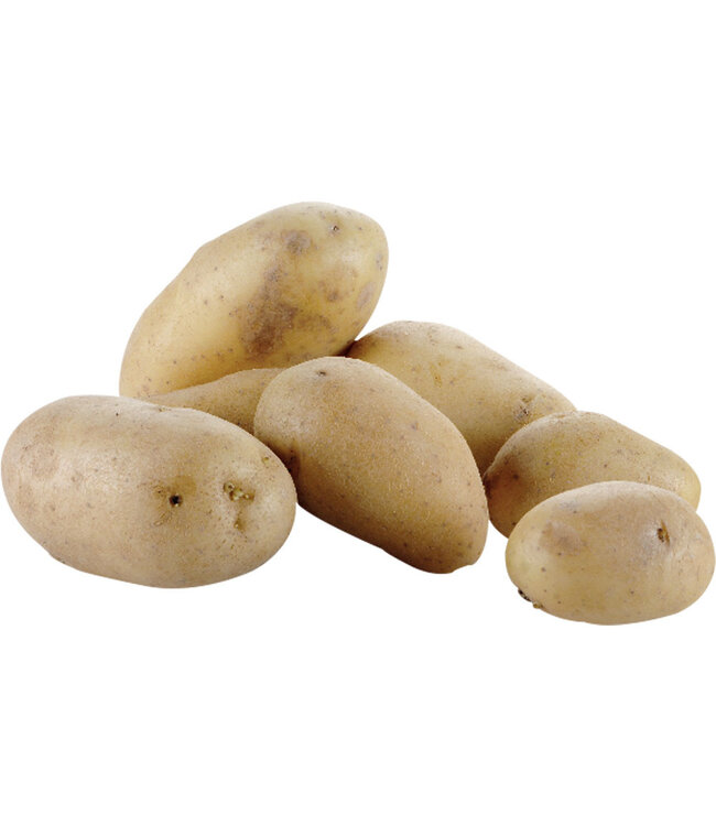 Diamond Aardappelschilmachine op voet (10 kg)