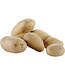Diamond Aardappelschilmachine op voet, 18 kg, prod. 500 kg/u