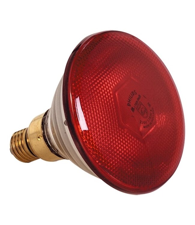 warmtelamp 175W