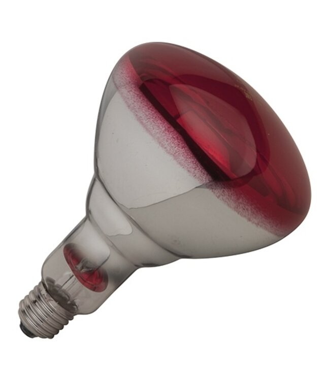 warmtelamp 250W
