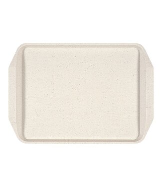 dienblad 43,5x30,5cm