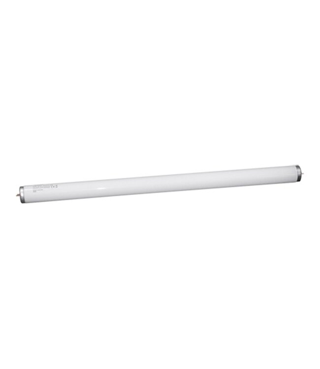 lamp 20W