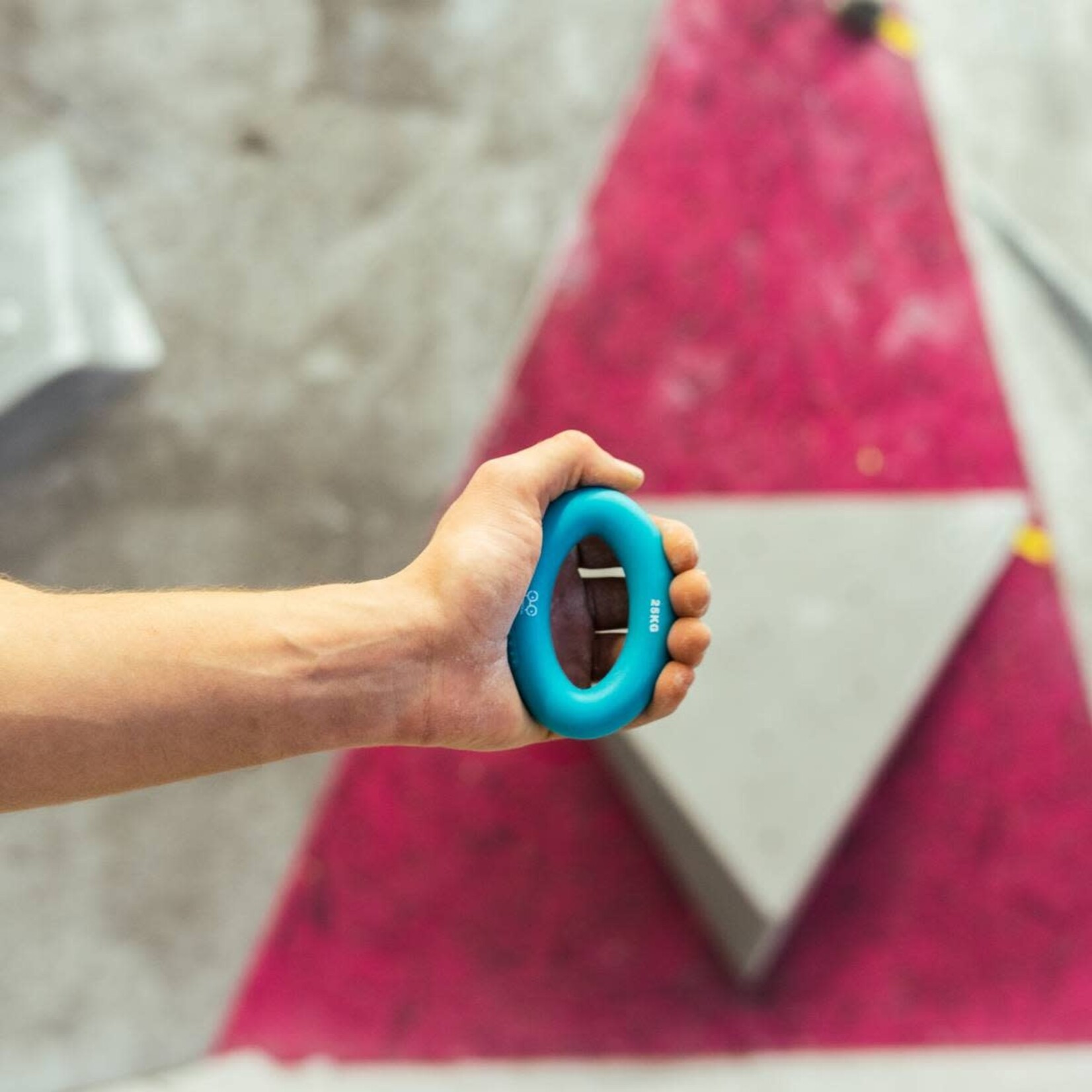 YY VERTICAL CLIMBING RING 25 kg Blue