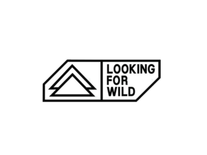 LOOKING FOR WILD