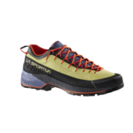 Schoenen