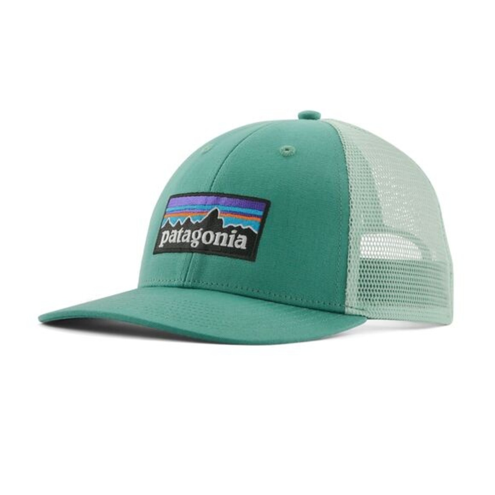 Patagonia p-6 logo lopro trucker hat