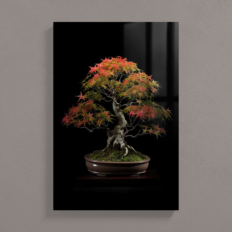 Acer Palmatum Bonsai