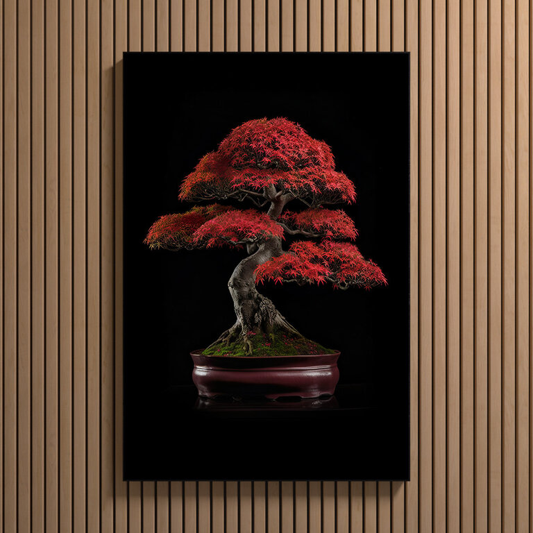 Acer Palmatum Red Dragon Bonsai