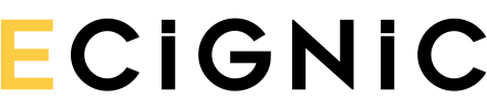 ecignicb2bbe
