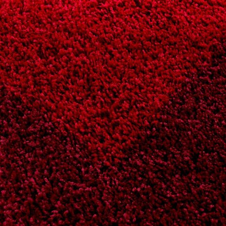 Hochflor Teppich - Candy Shaggy Bordüre Rot