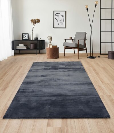 Teppich Zetha - Einfarbig Weich Hochflor - Anthrazit