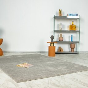 Teppich Romanica - Solid Modern - Silber/hellGrau Teppich Romanica - Solid Modern - Silber/hellGrau