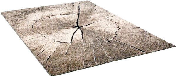 Teppich Modern - Maratta Baumstamm Beige/Grau