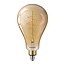 PHILIPS LED classic-giant 7-40W E27 A160 GOLD DIM 31376700