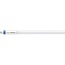 PHILIPS MASTER LEDtube HF 600mm HE 7W 840 T5 30968500