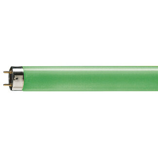 PHILIPS TL-D Colored 18W Green 64298140
