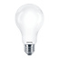 PHILIPS CorePro LEDBulb ND 13-120W E27 A67 840 FR G 34655000