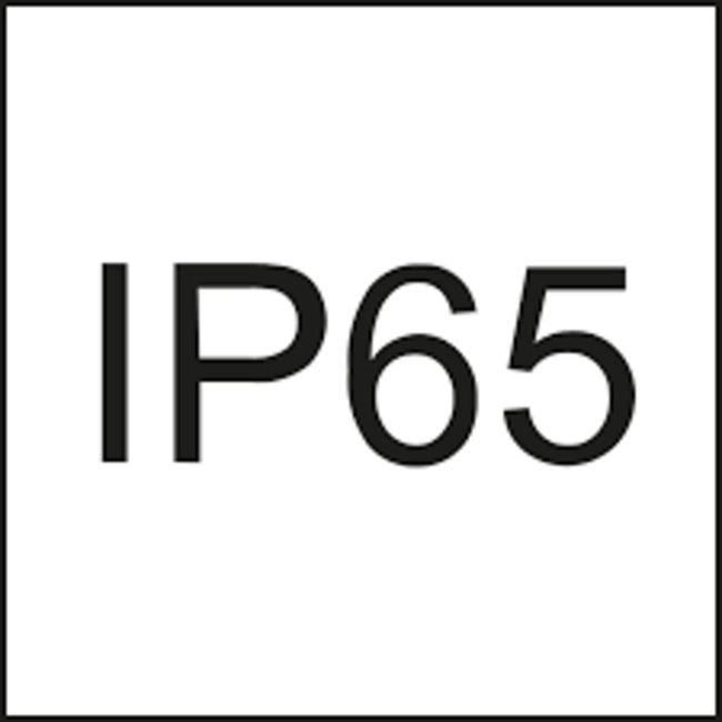 TSONG LED Tri-P Injection IP65 36W 1200mm 150 lm/W (doorvoerbedrading)