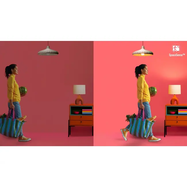 WiZ Wi-Fi BLE 11-75W G95 E27 822-865/RGB 8720169072275