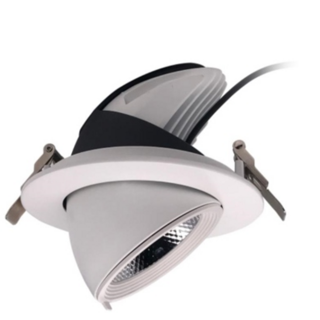 TSONG COB IP20 LEDspot 30W CRI80+ WIT 23° Ф165*H143mm Zaagmaat: 150-155mm 2550Lm