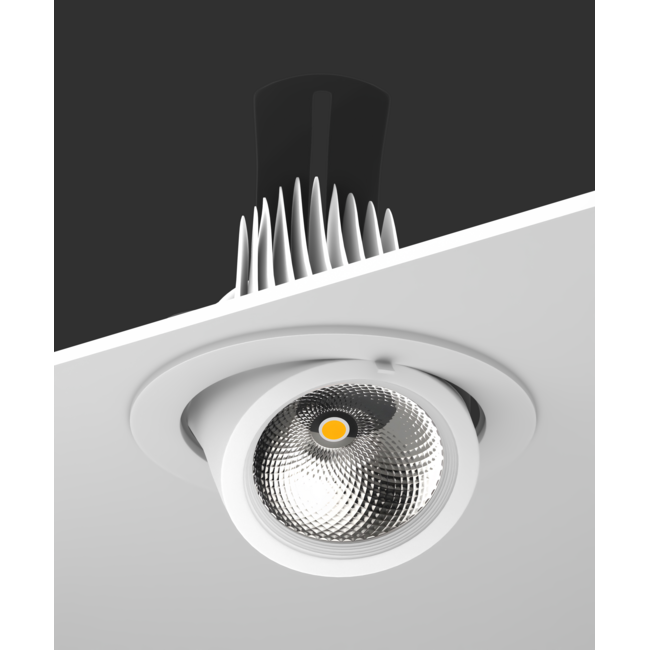 TSONG COB IP20 LEDspot 30W CRI80+ WIT 23° Ф165*H143mm Zaagmaat: 150-155mm 2550Lm