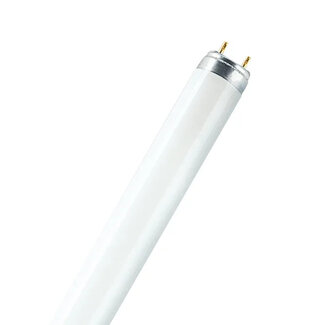 OSRAM T8 L30W/865 LUMILUX Daylight G13 4050300518015