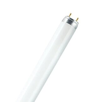 PATRON Fluorescent Tube G13 58W/840 T8 5941019827873