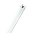 PATRON Fluorescent Tube G13 58W/840 T8 5941019827873