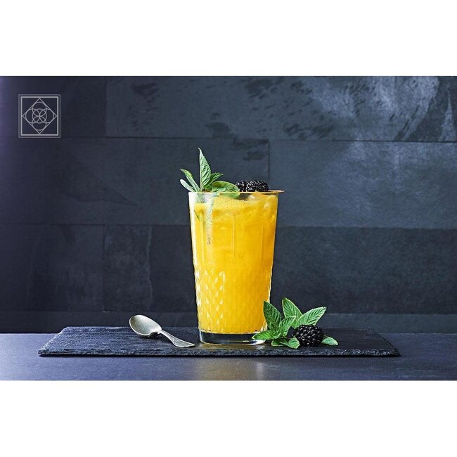 Pasabahce Highness Glazen 520065