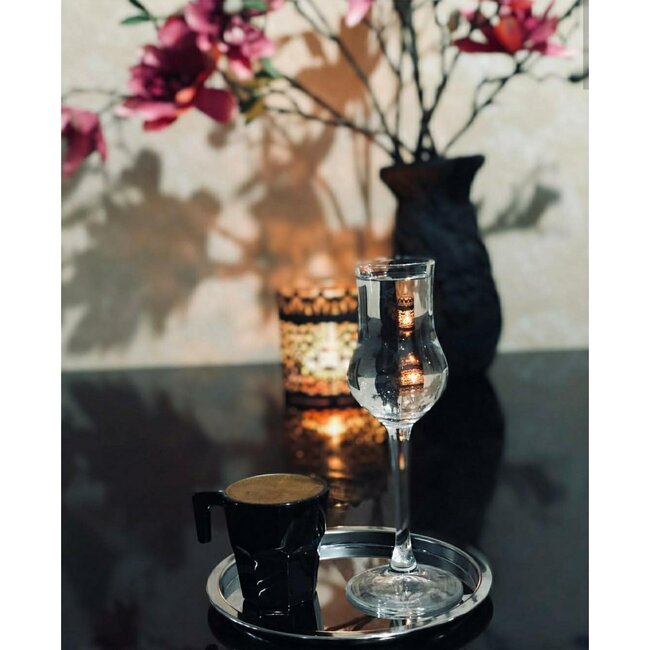 Pasabahce 6 Grappa Wijn Glas | 95ml