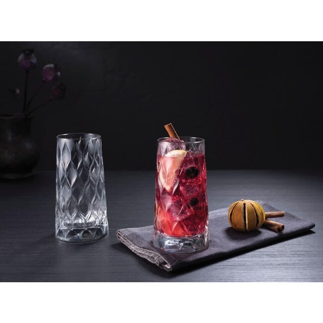 Pasabahce 4 Leafy Long Drink Glasses | 345ml
