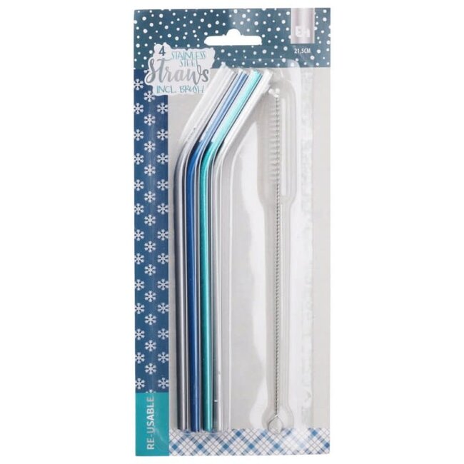 RIETJES 6MM RVS MET BORSTEL SE