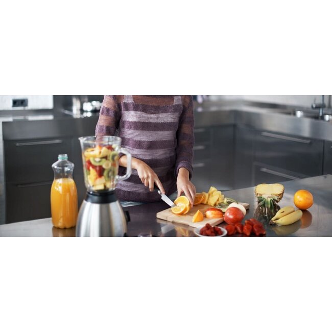 Royalty Line® Blender | 800W